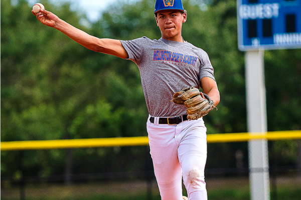 baseball pitcher throwing the ball