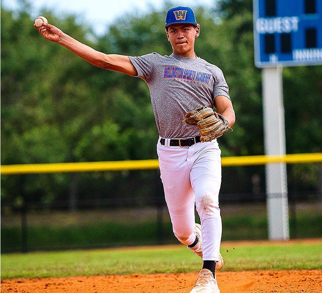 baseball pitcher throwing the ball