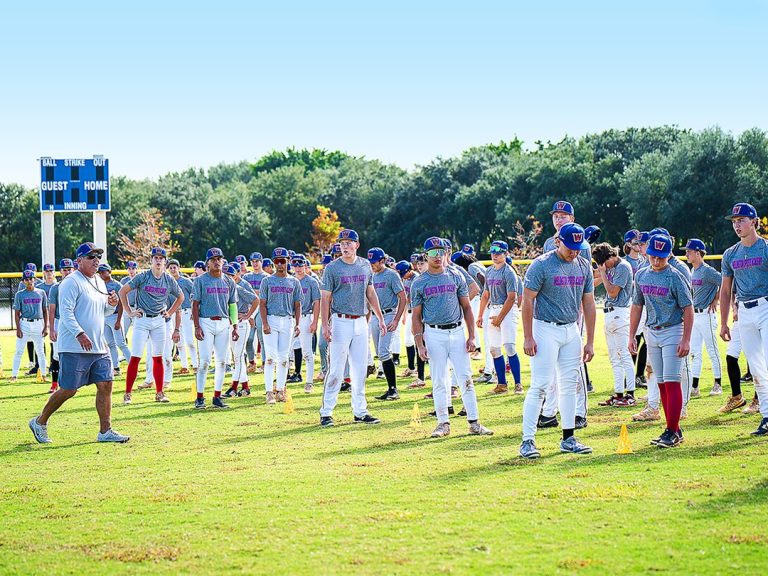 baseball header team standing