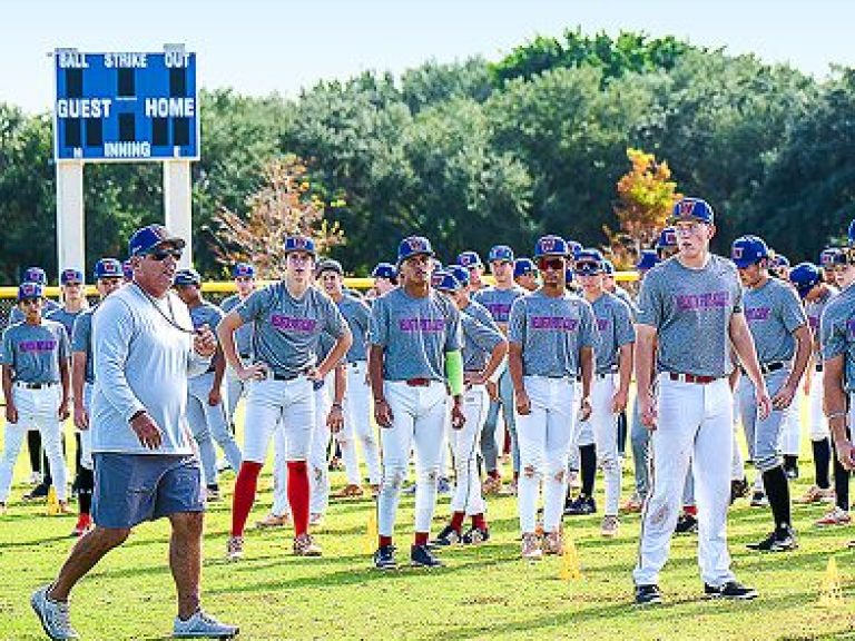 baseball header team standing