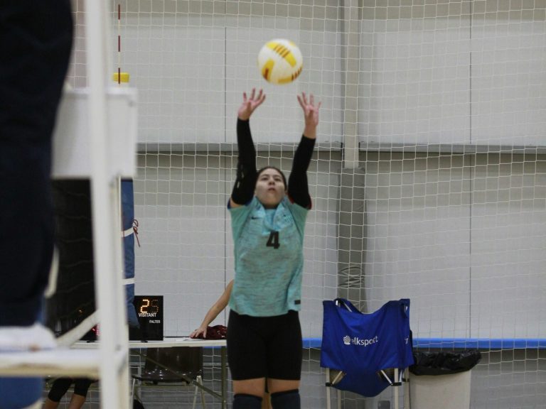 girls volleyball placeholder