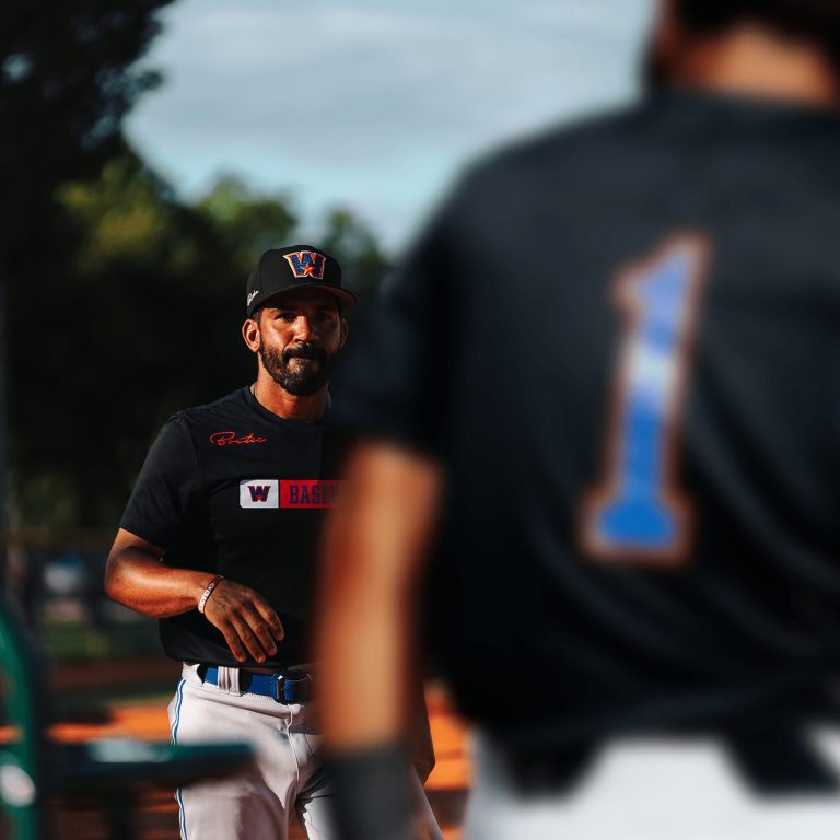 WSA Baseball Coaching